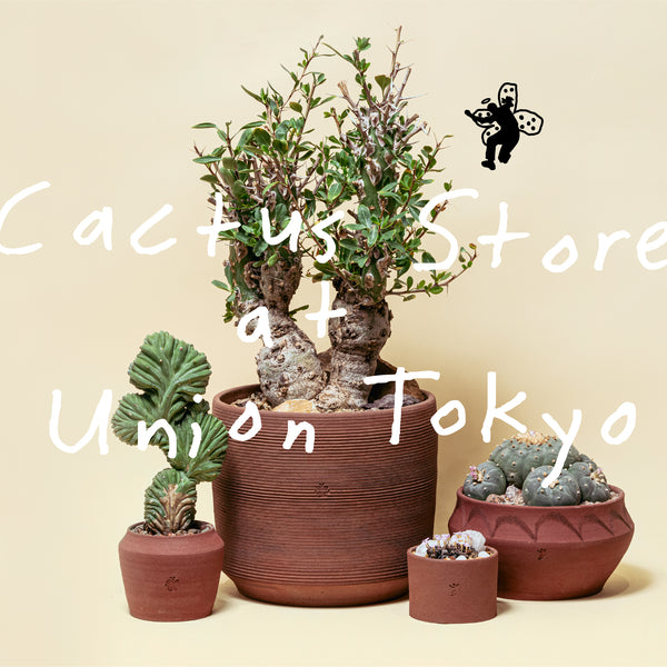 CACTUS STORE at UNION TOKYO supported by KAKUSEN-EN