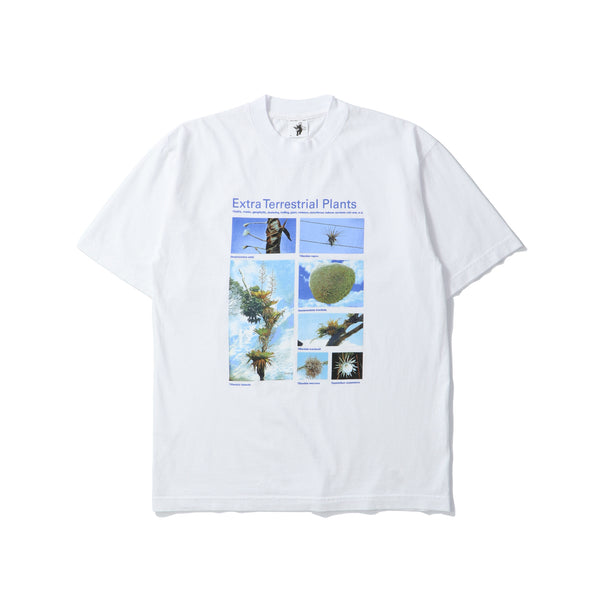 Cactus Store(カクタスストア)｜Taxa Shirts(タクサシャツ)｜【公式通販 UNION TOKYO】｜ユニオントーキョー